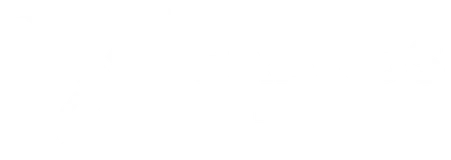 X Brands